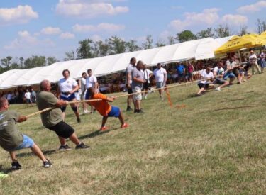 IMG-dc3d412d0d31f68054e7b3dee4322631-V